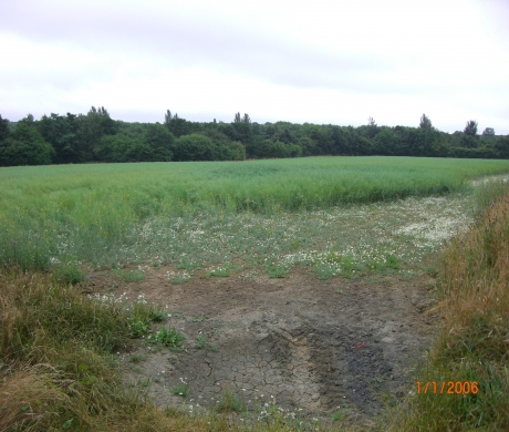 Council Plumps for North Horsham