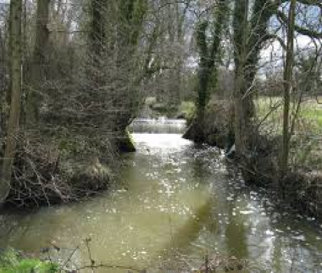 Inaugural Riverside Walk