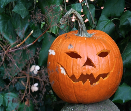 HALF TERM AND HALLOWEEN HAPPENINGS 2021